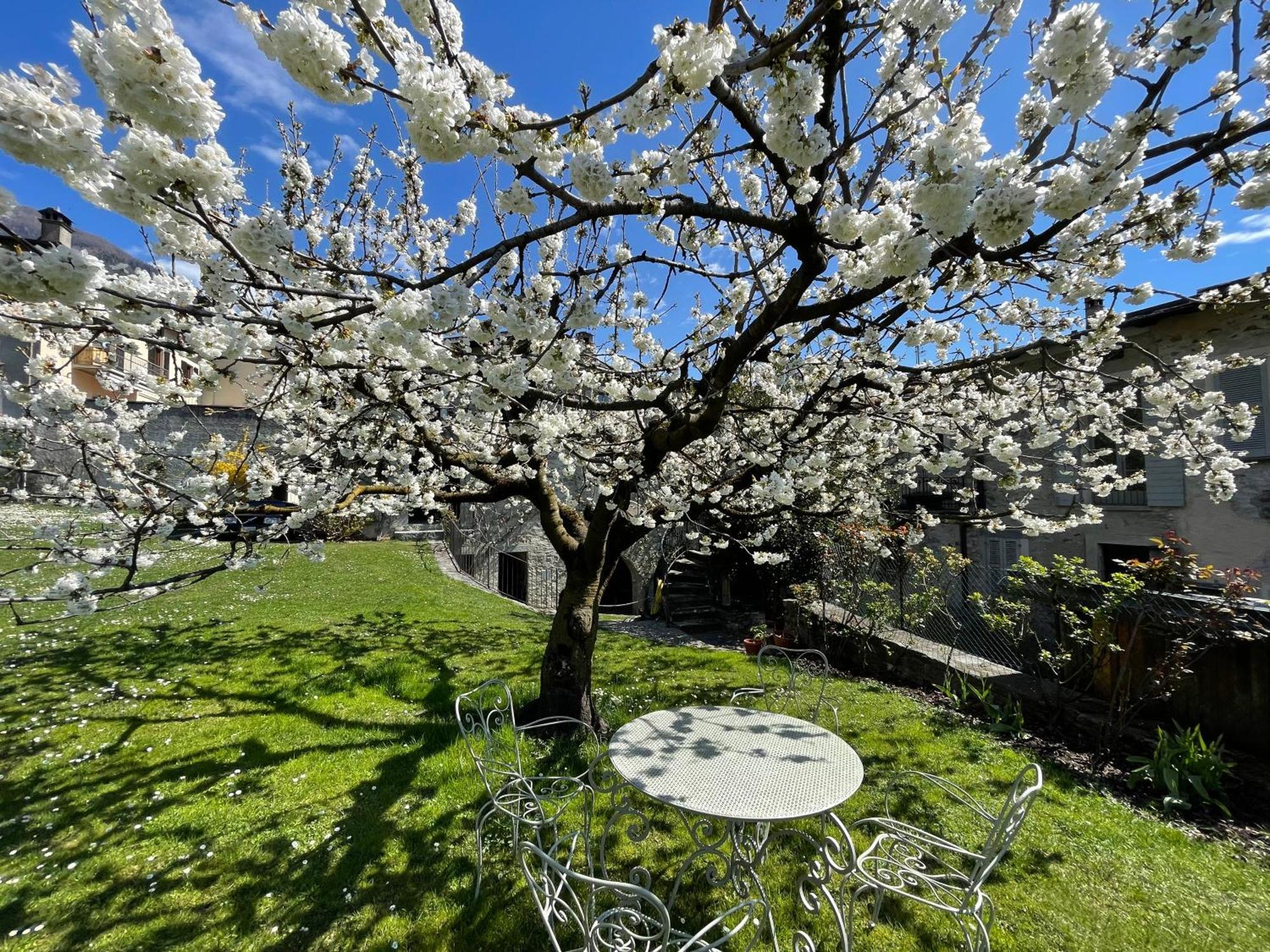 Piano Nobile Al Roseto Del Drago Villa San Bernardo  Dış mekan fotoğraf